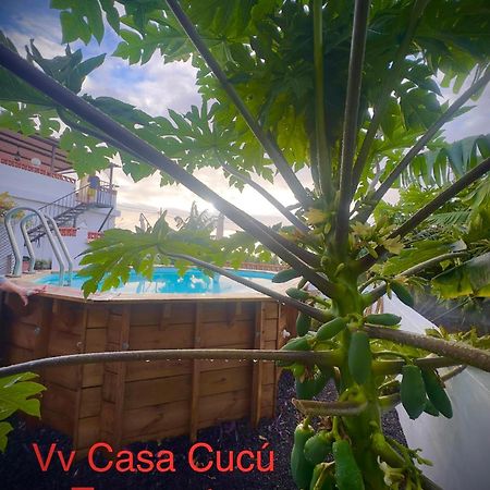 הוילה טסקורטה Casa Cucu מראה חיצוני תמונה