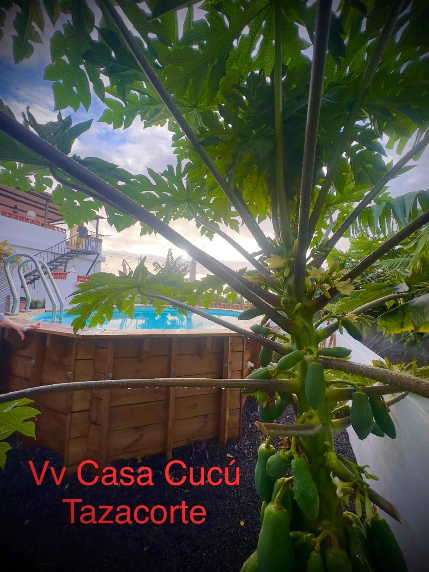הוילה טסקורטה Casa Cucu מראה חיצוני תמונה